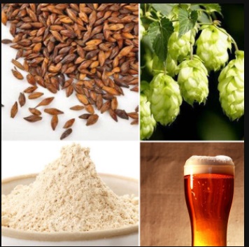 濟(jì)南豪魯啤酒原料 濟(jì)南豪魯啤酒原料